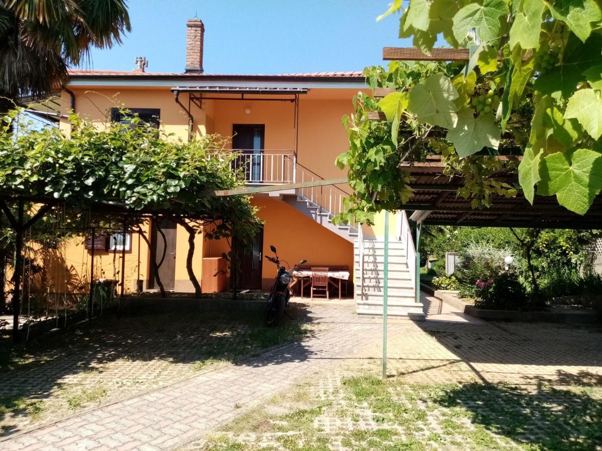 Apartman Violeta 로브란 외부 사진